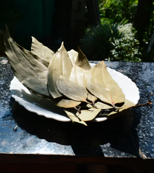 Bay leaves
